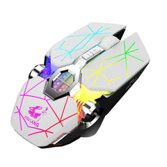X13 Wireless Gamer Mouse
